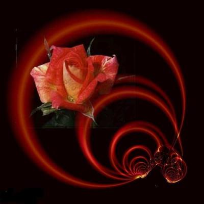 Una espiral infinita de rosas, de pasi&oacute;n, de AMOR