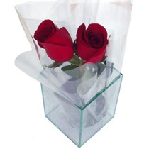 EN M&Iacute; CAJA ESTAS T&Uacute;