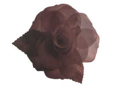 Eterno marron, Sensatez