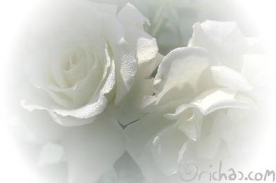 El color gris, aquel color que acompa&ntilde;a en los dias frios