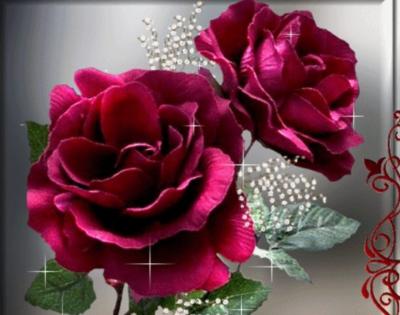 T&uacute; rosa, m&iacute; rosa de cada d&iacute;a.