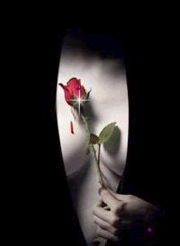 Lleg&oacute; el NEGRO.